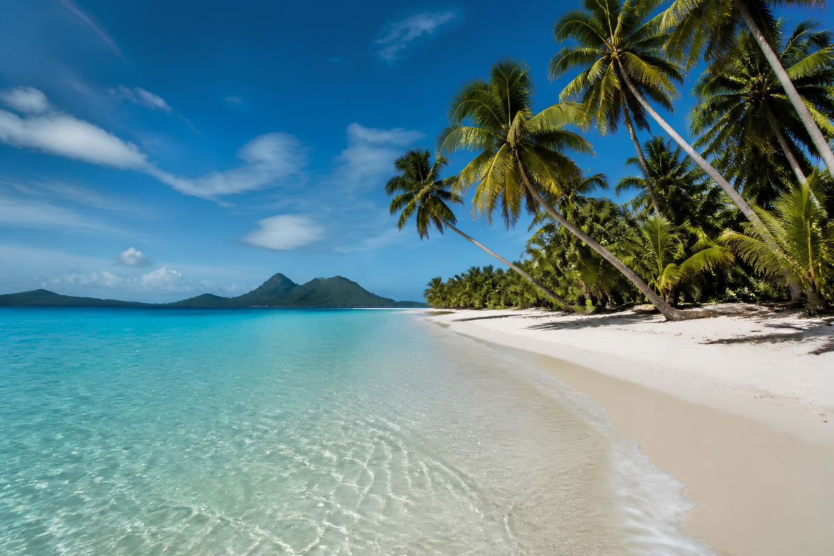 Vanuatu landscape